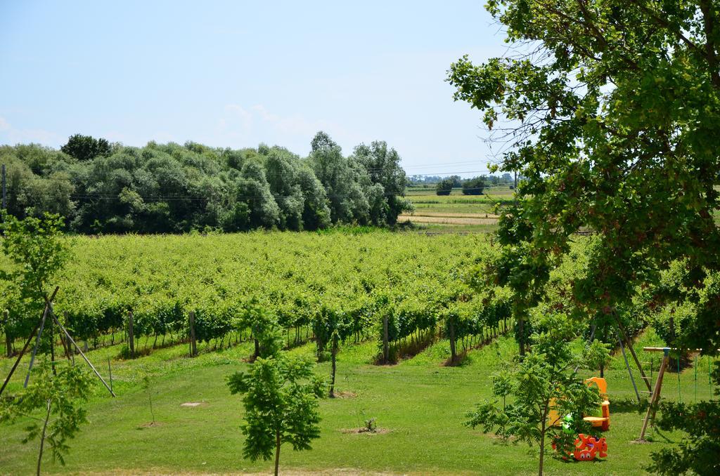 Vila La Di Anselmi Palazzolo dello Stella Pokoj fotografie