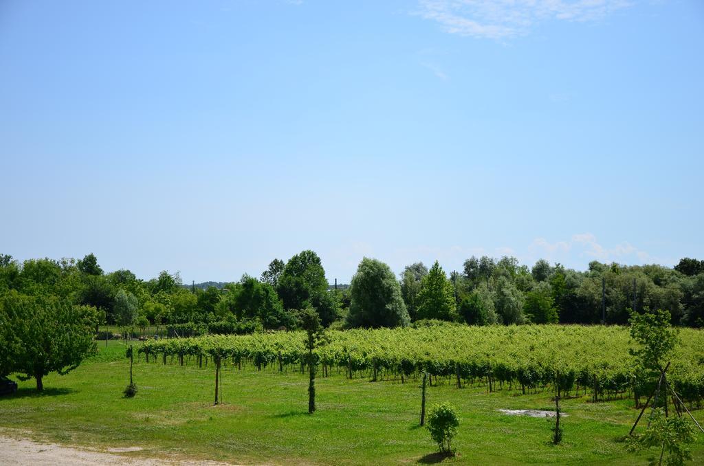 Vila La Di Anselmi Palazzolo dello Stella Pokoj fotografie